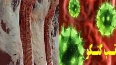 مردم از ذبح غیر کشتارگاهی خودداری کنند