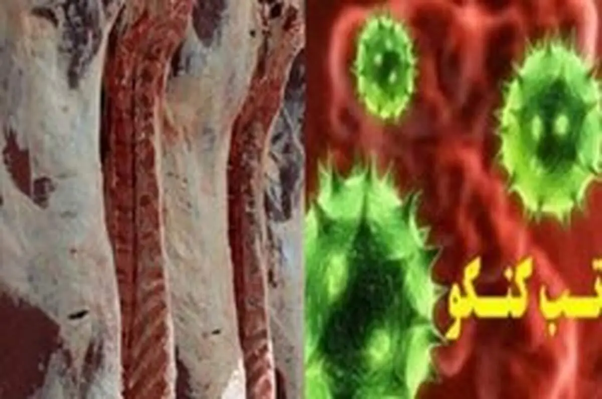 مردم از ذبح غیر کشتارگاهی خودداری کنند