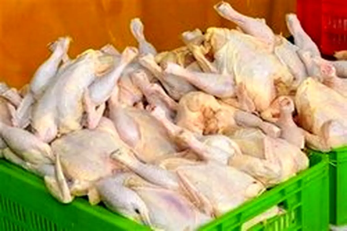 قیمت مرغ روی کیلویی ۱۵ هزار و ۵۰۰ تومان ماند