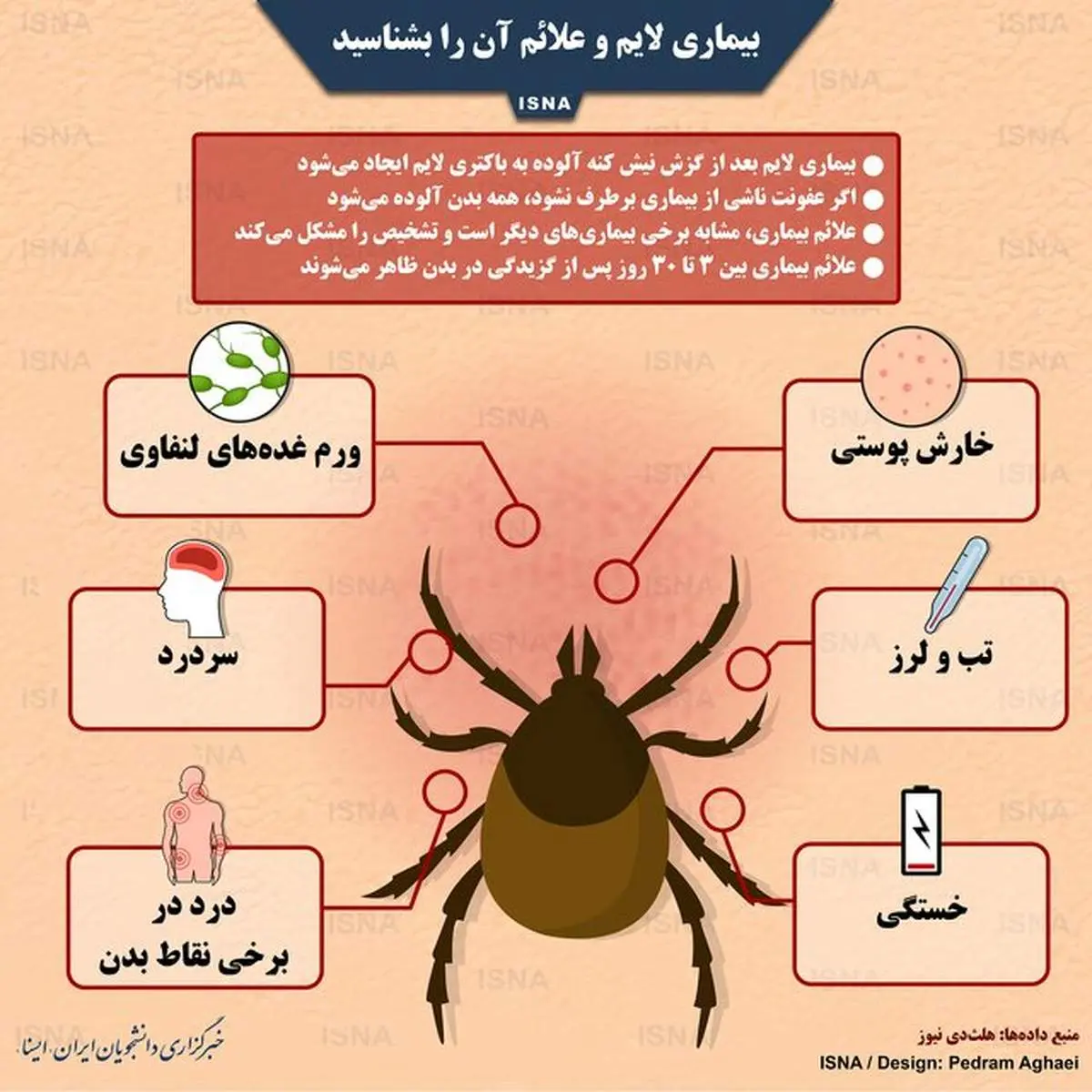 اینفوگرافی| بیماری لایم و علائم آن را بشناسید