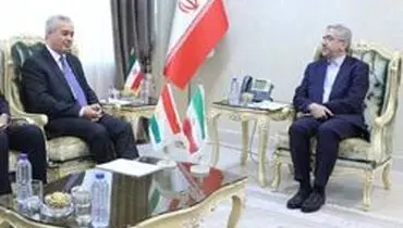 موانع توسعه همکاری‌ها بین ایران و تاجیکستان باید رفع شود