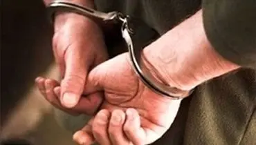 دستگیری جاعل درگاه بانکی در خیابان نامجو