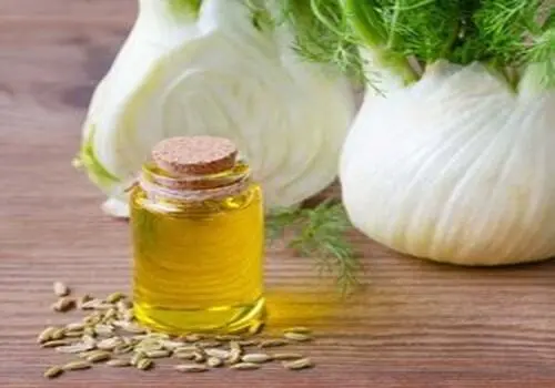 چگونه با مصرف رازیانه لاغر شویم؟