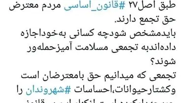 واکنش عضو شورا به دستگیری معترضان به سگ‌کشی