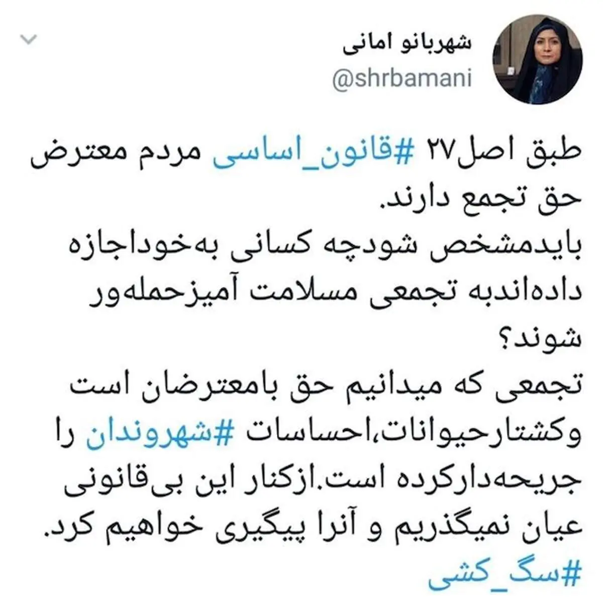 واکنش عضو شورا به دستگیری معترضان به سگ‌کشی