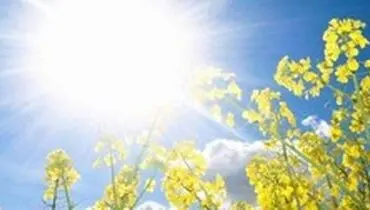 آسمانی صاف همراه با افزایش دما در دو روز آینده