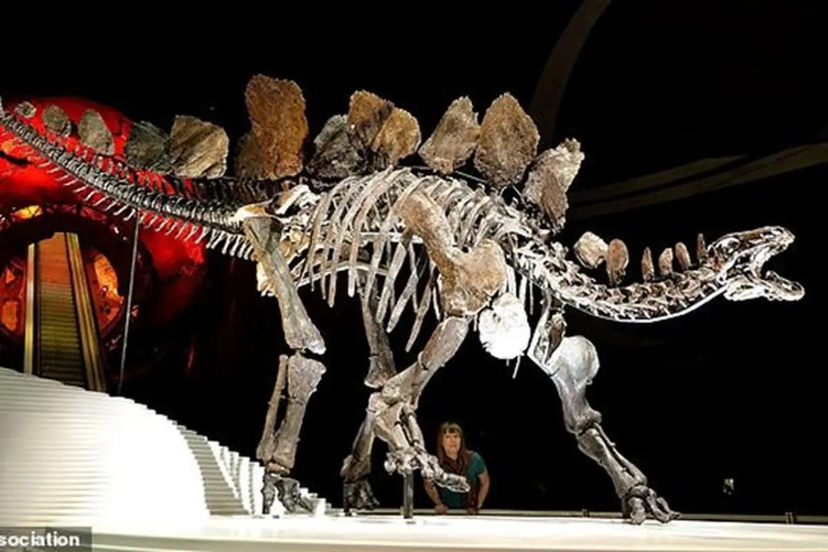 عکس/قدیمی‌ترین گونه یک «دایناسور» کشف شد