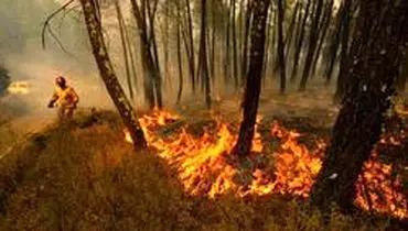 آتش‌سوزی و دود نفس جنگل‌های آمازون را گرفت