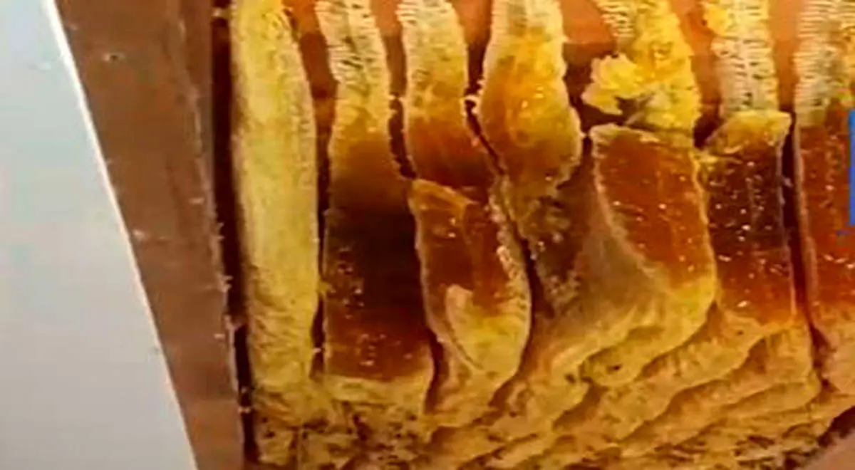 عکس/غیرقابل پیشبینی ترین سوژههای عکاسی!