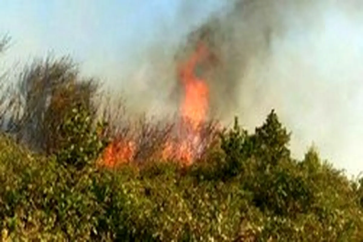آخرین وضعیت آتش سوزی جنگل‌های ارسباران / آتش سوزی در مراحل پاکسازی و لکه گیری+فیلم