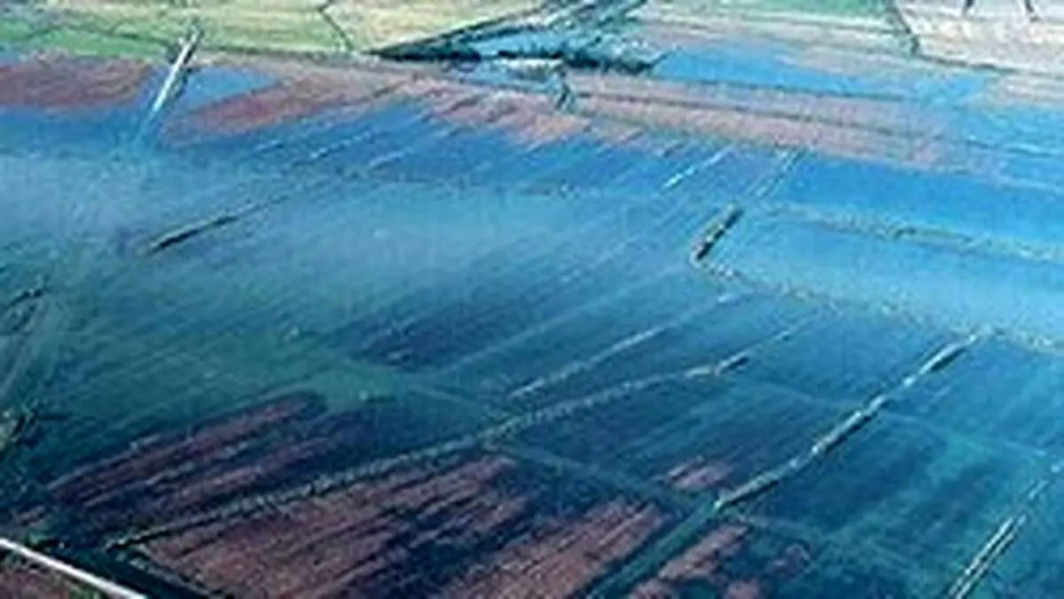 محیط زیست: آبگیری تالاب هورالعظیم از سال گذشته هم کمتر میشود