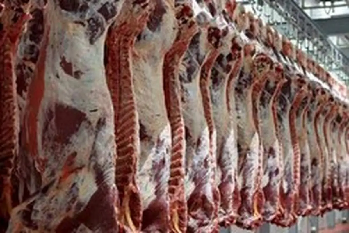 قیمت گوشت گوسفند چند؟