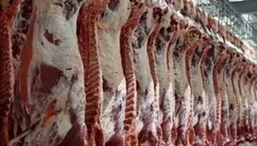 قیمت گوشت گوسفند چند؟