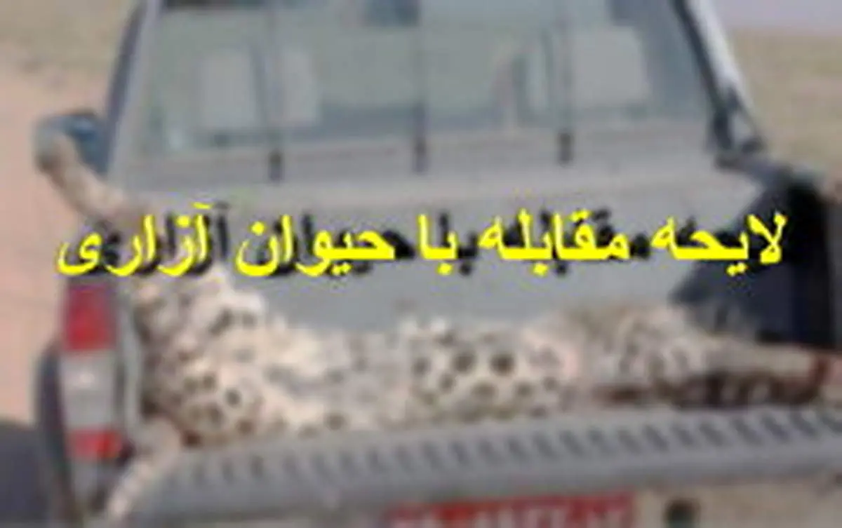 لایحه مبارزه با حیوان آزاری به کجا رسید؟