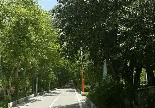 پیشنهاد مجلس: پیش‌دبستانی جزو دوره رسمی و اجباری آموزش ابتدایی شود