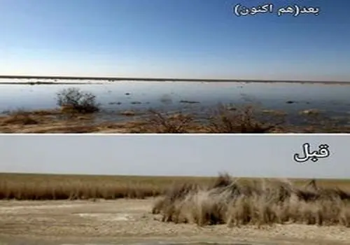 اعلام فهرست ۱۲ پاساژ ناایمن و بحرانی تهران