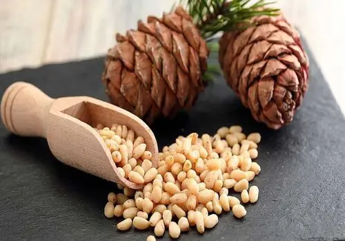 میوه ای که به جوان سازی پوست شما کمک می کند
