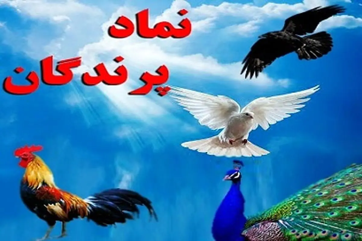 چرا حضرت ابراهیم (ع) این ۴ پرنده را برای ذبح انتخاب کرد