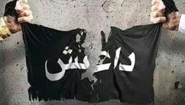 داعش در عراق از گاوهای انتحاری استفاده کرد