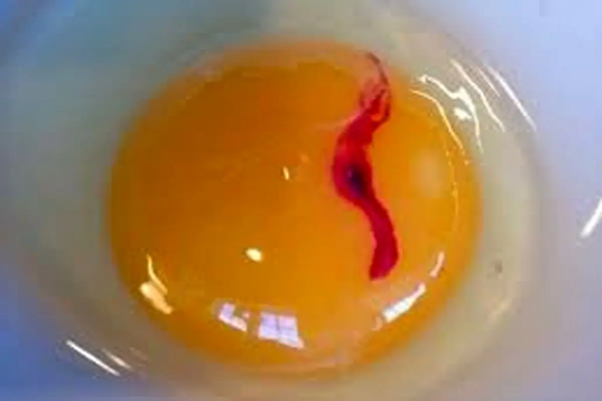حکم خونى که گاهى در تخم مرغ پیدا مى ‏شود، چیست؟