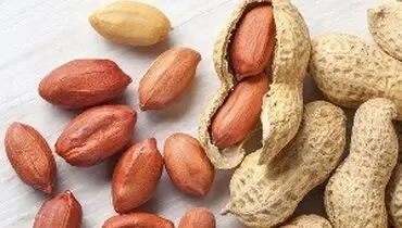 حساسیت به بادام زمینی و اقدامات لازم در زمان بروز حساسیت