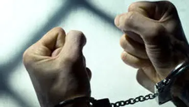 زیرکی پلیس باعث کشف ۲ قتل و ۳۳ زورگیری شد