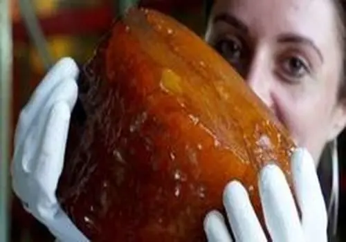 درخواست ناخن و موی اجساد برای طلسم!