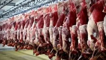 گوشت گوساله ارزان می شود