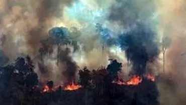 برزیل پیشنهاد گروه ۷ برای مهار آتش‌سوزی آمازون را رد کرد