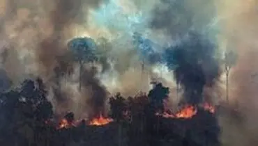 برزیل پیشنهاد گروه ۷ برای مهار آتش‌سوزی آمازون را رد کرد