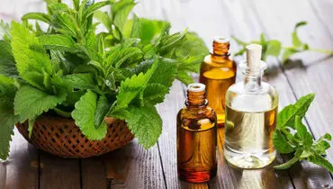 با خواص شگفت انگیز روغن نعناع آشنا شوید