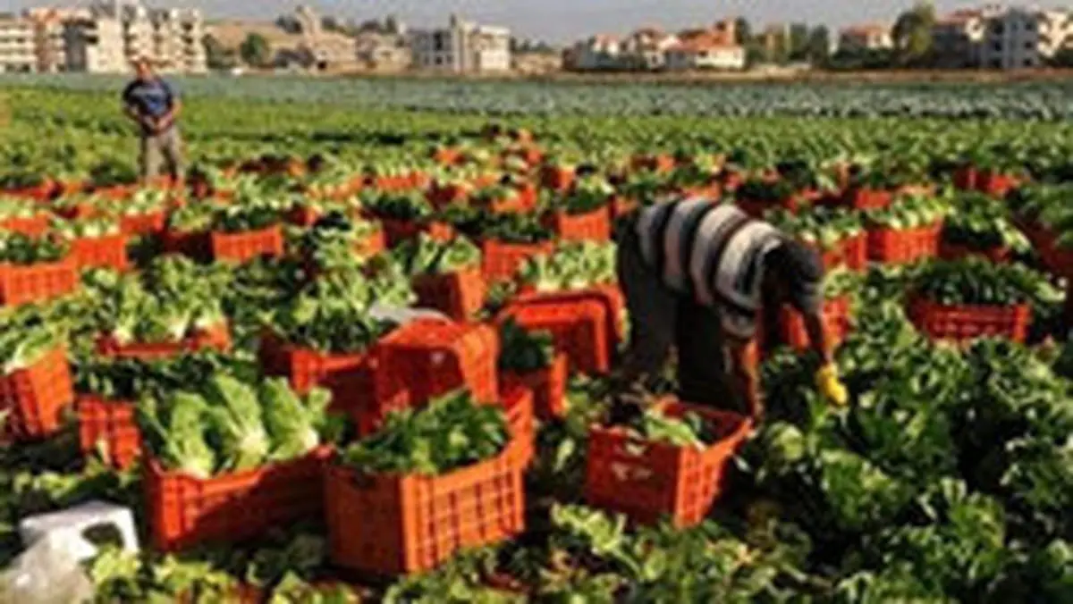 چینیها شن را به خاک تبدیل کردند