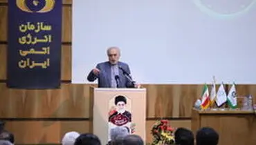صالحی: برجام صنعت هسته‌ای را متوقف نکرد
