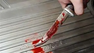 قاتل جوان: سلمان مرا کتک زد من هم با چاقو زدم