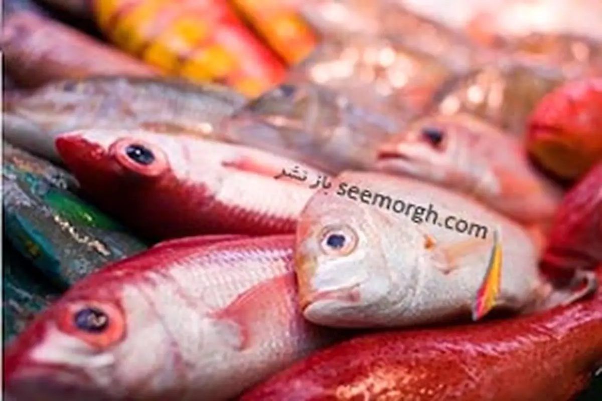 ارتباط اوتیسم و مصرف زیاد ماهی در بارداری به گفته دانشمندان