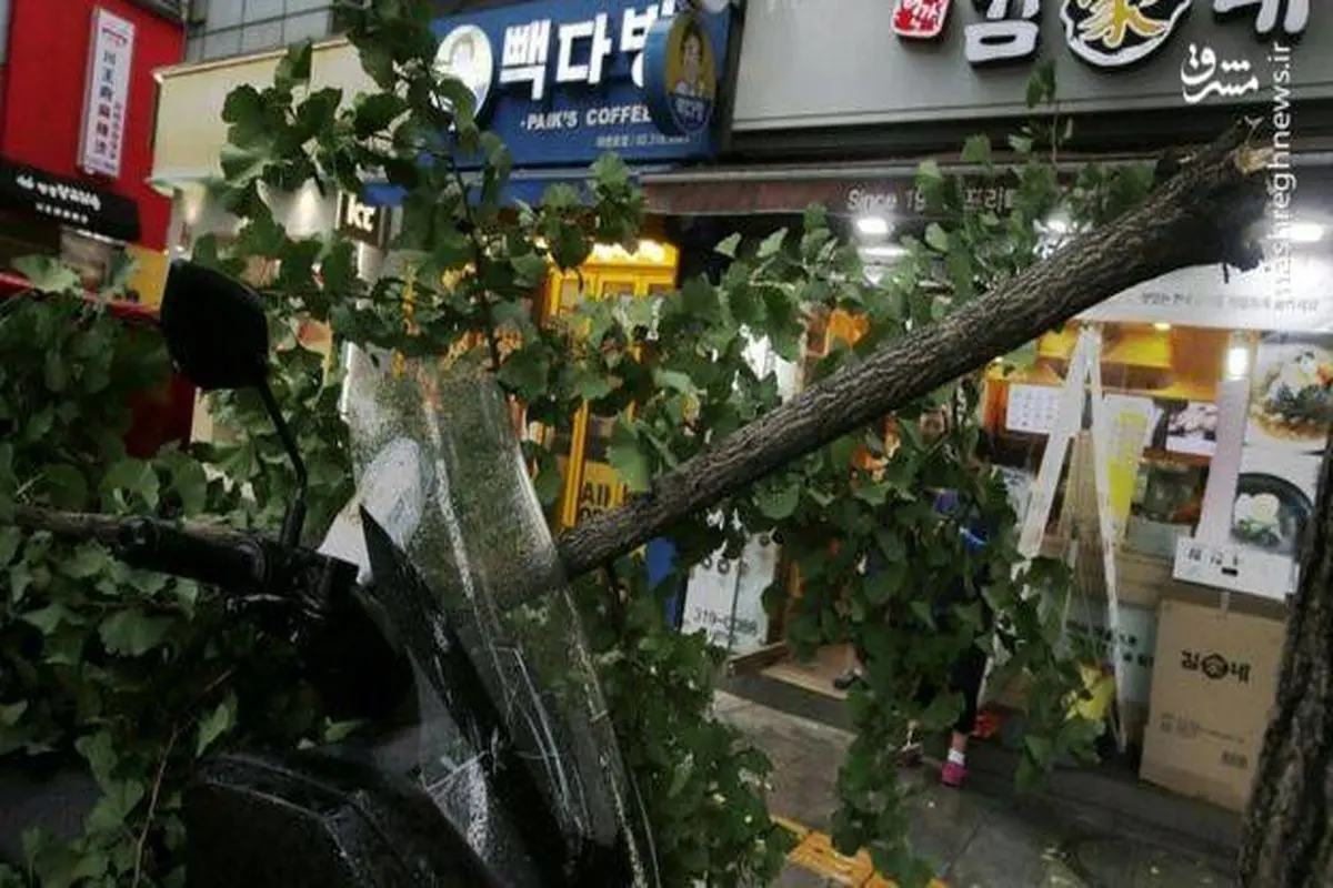 طوفان مرگبار کره جنوبی به روایت تصویر