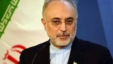 صالحی: روسای جمهور ایران و فرانسه برای حفظ برجام در تلاش هستند