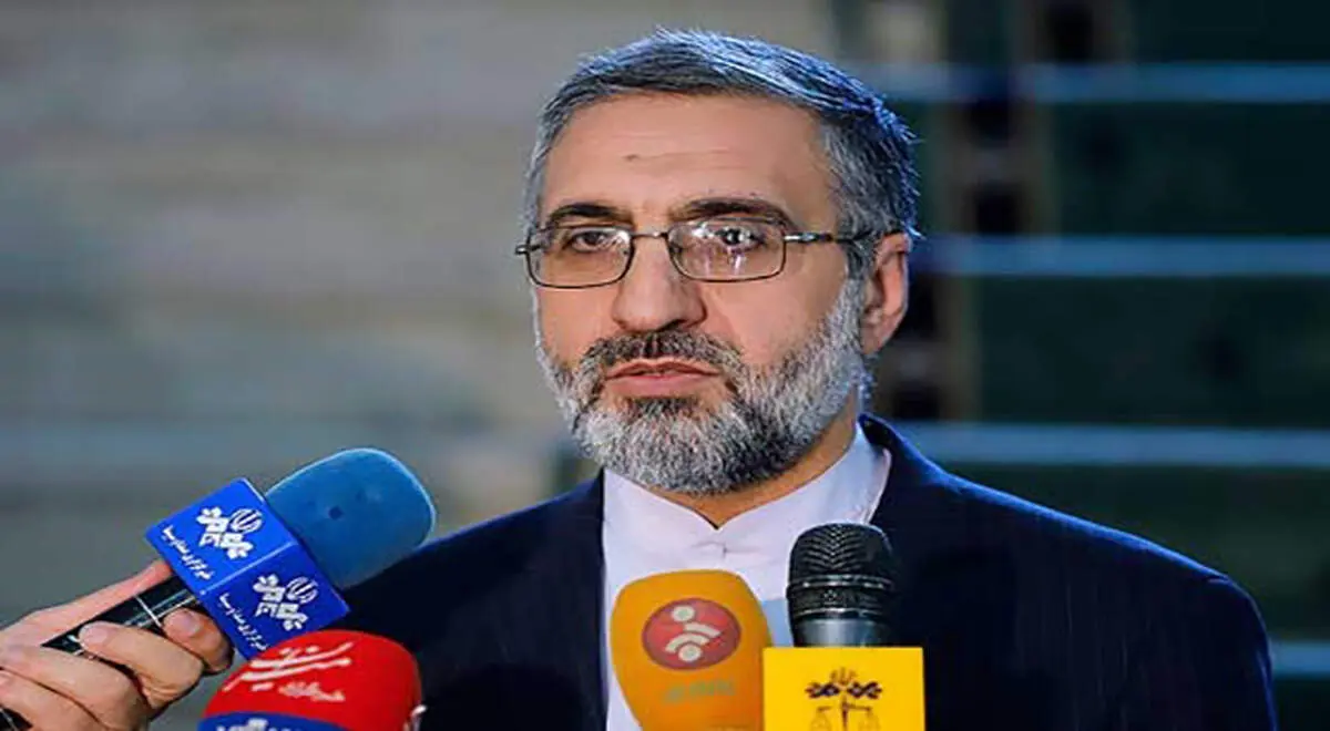 واکنش سخنگوی دستگاه قضا به حضور «شبنم نعمت‌زاده» با چادر مشکی در دادگاه
