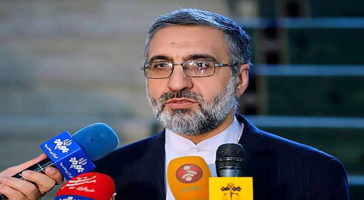 واکنش سخنگوی دستگاه قضا به حضور «شبنم نعمتزاده» با چادر مشکی در دادگاه