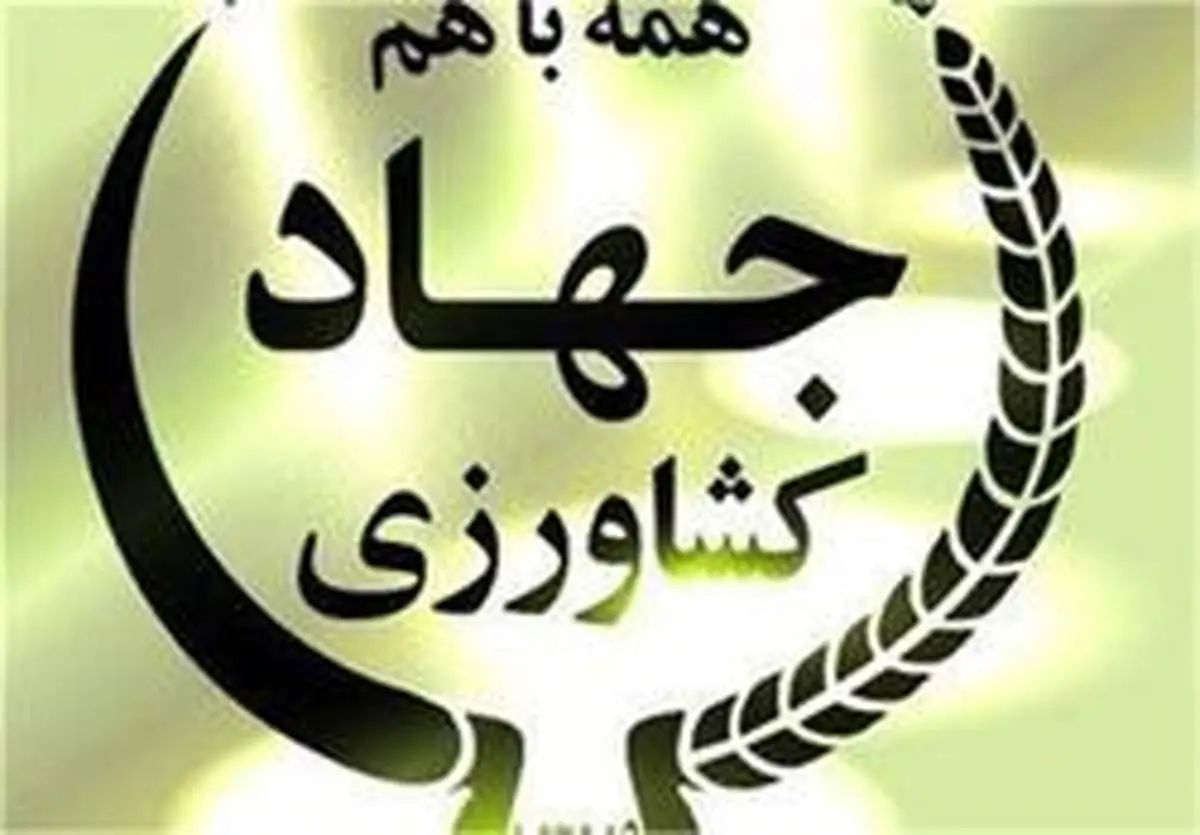 وزارت جهاد کشاورزی اختلاط خاک با گندم را تایید کرد
