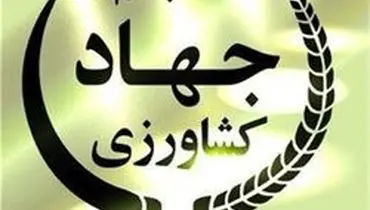 وزارت جهاد کشاورزی اختلاط خاک با گندم را تایید کرد