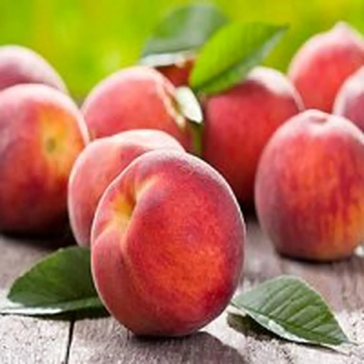 فایده هلو برای سلامت چشم و مقابله با سرطان