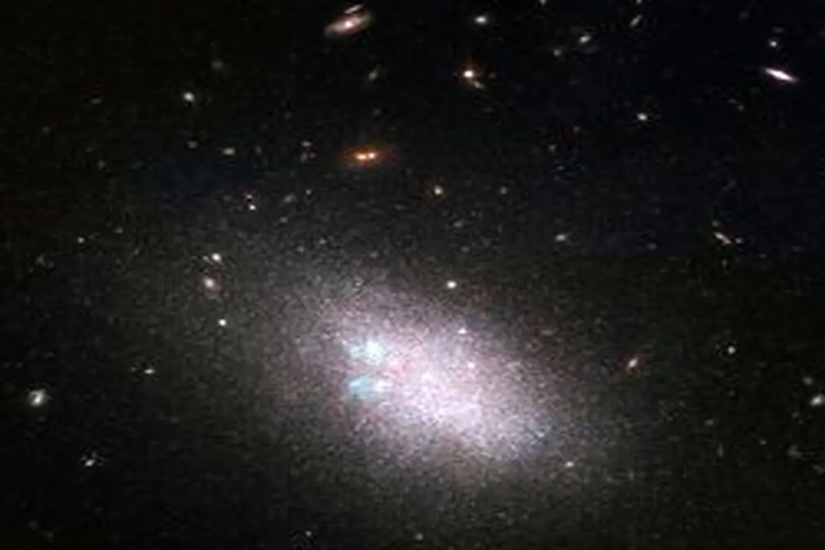 ۵۰ کهکشان کوتوله و مارپیچی در یک قاب
