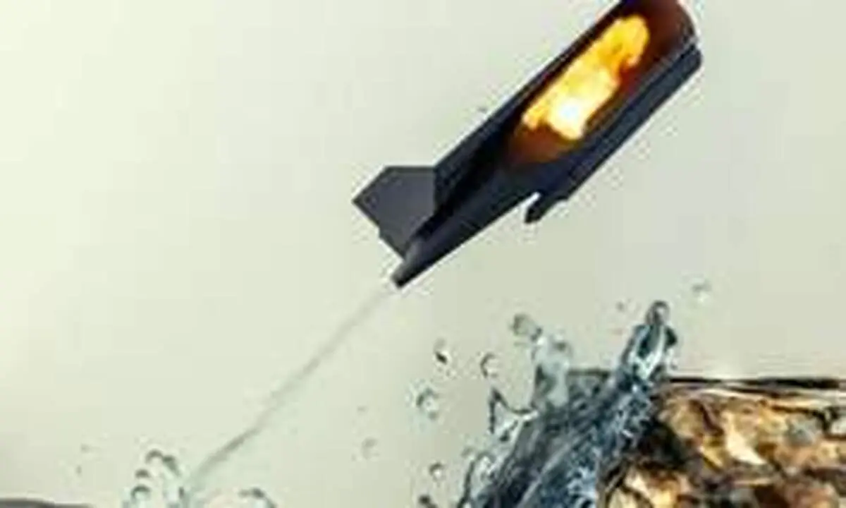 
ساخت روبات ماهی پرنده