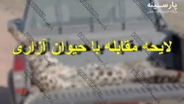 چه مجازاتی در انتظار حیوان آزارها است؟