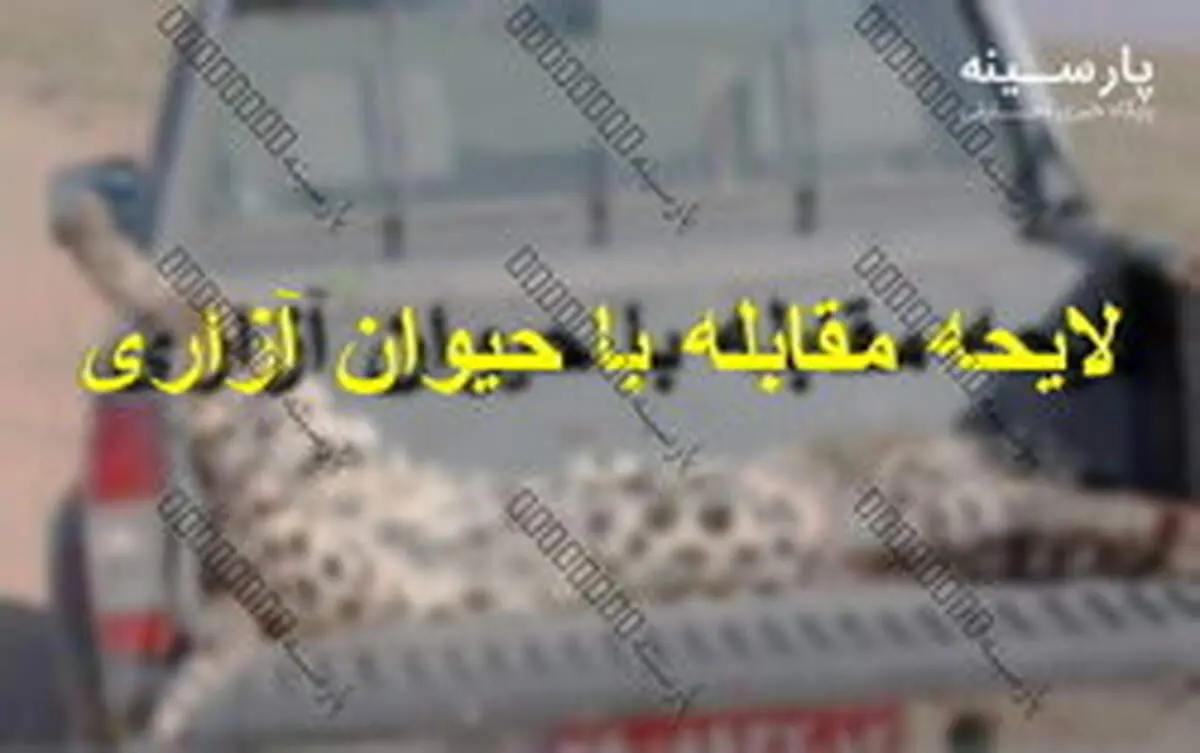 چه مجازاتی در انتظار حیوان آزارها است؟