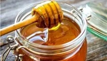 عسل‌شناسی به سبک زنبورداران