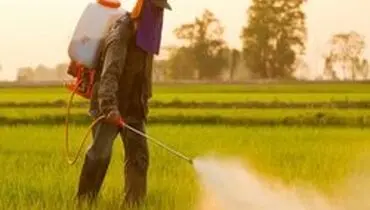 قرارگیری در معرض آفت کش ها خطر سکته را افزایش می دهد