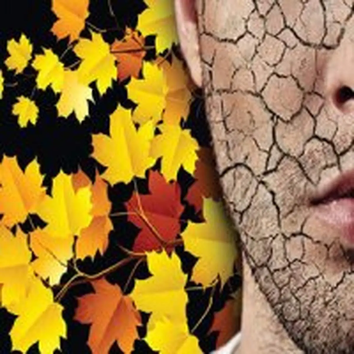 چکار کنیم تا در پاییز، پوستمان خشک نشود؟