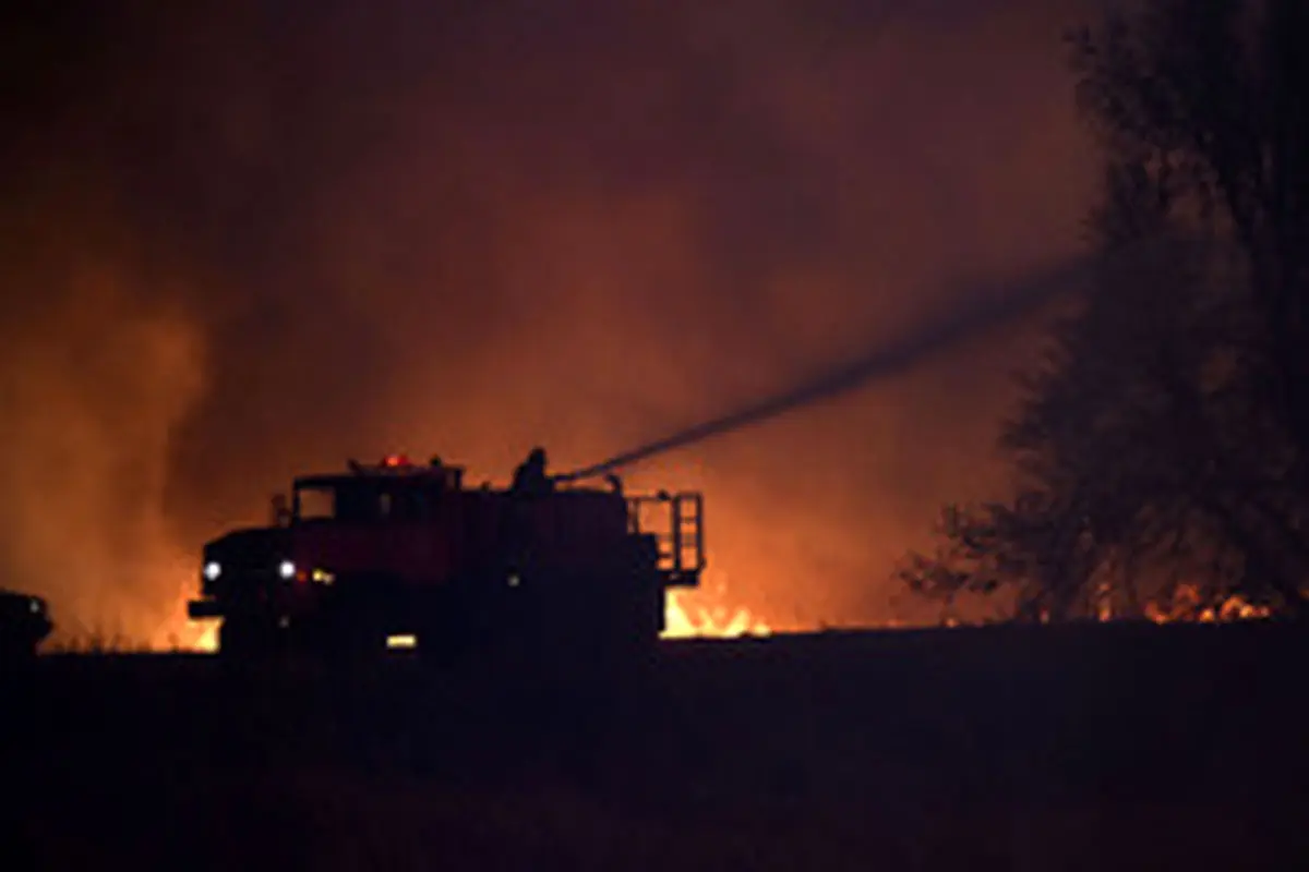 ژل ویژه برای جلوگیری از آتش‌سوزی جنگل‌ها تولید شد